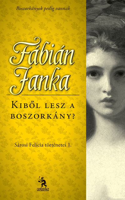 Kiből lesz a boszorkány?, Fábián Janka