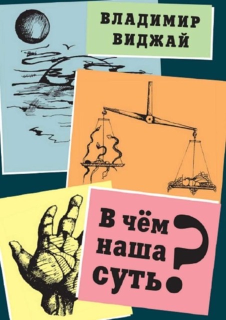 В чем наша суть, Владимир Виджай