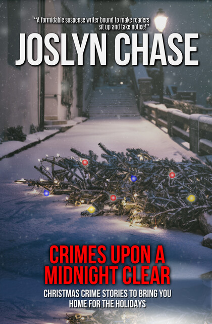 Crimes Upon a Midnight Clear, Joslyn Chase