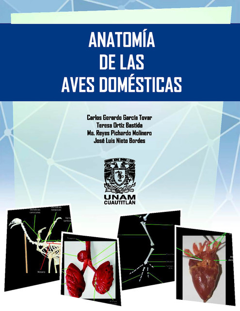 Anatomía de las aves domésticas, Carlos Gerardo García Tovar, Ma. Reyes Pichardo Molinero, Teresa Ortiz Bastida