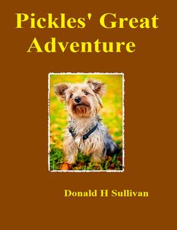 Pickles' Great Adventure, Donald Sullivan