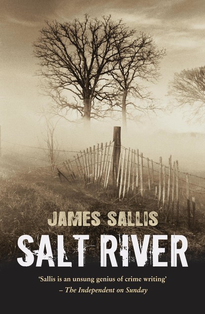 Salt River, James Sallis