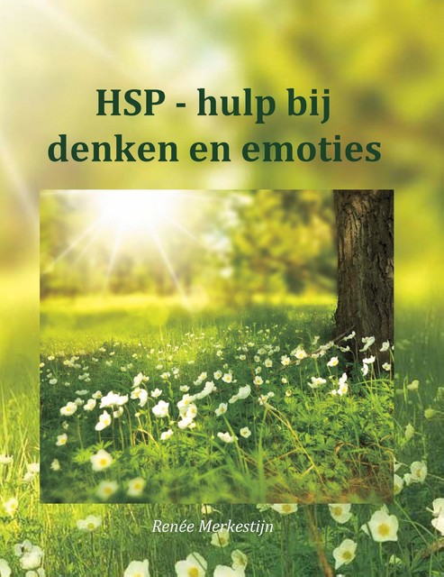 HSP: hulp bij denken en emoties, René Merkestijn