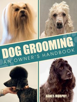 Dog Grooming, Agnes Murphy