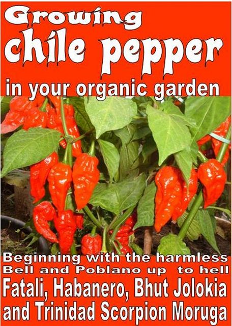 Growing chile pepper in your organic garden, Bruno del Medico, Illustratrice Elisabetta Del Medico