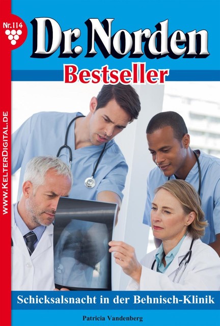 Dr. Norden Bestseller 114 – Arztroman, Patricia Vandenberg