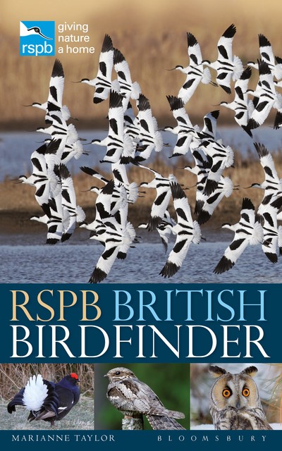 RSPB British Birdfinder, Marianne Taylor