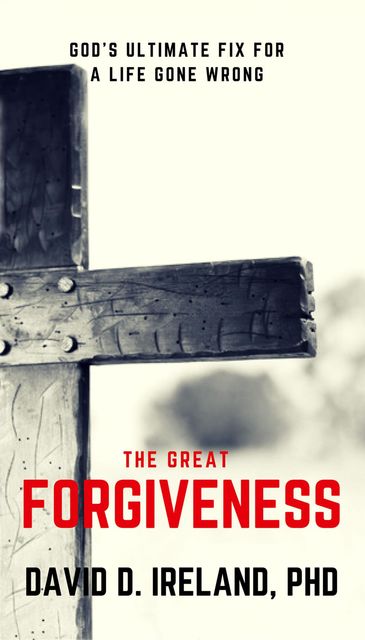 The Great Forgiveness, David Ireland