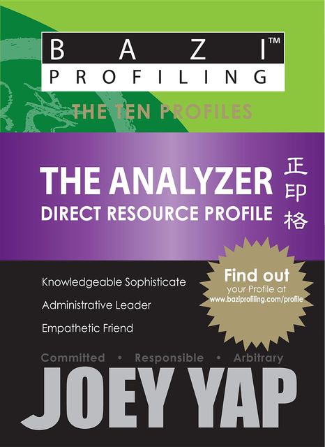 The Ten Profiles - The Analyzer (Direct Resource Profile), Yap Joey