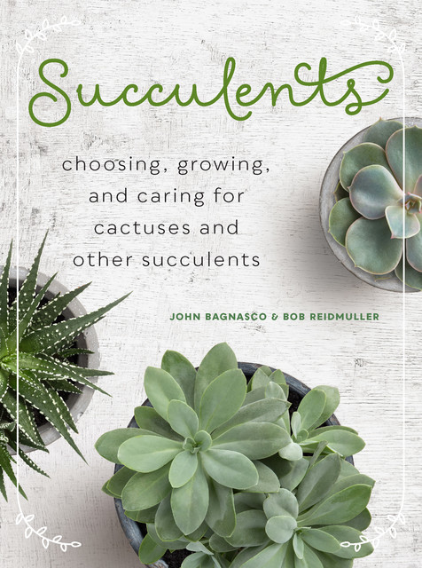 Succulents, Bob Reidmuller, John Bagnasco