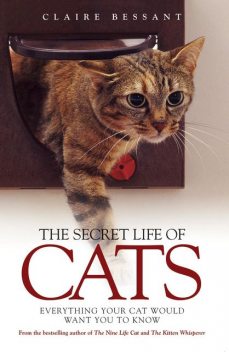 The Secret Life of Cats, Claire Bessant