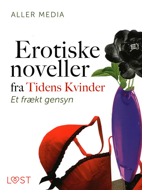 Et frækt gensyn – erotiske noveller fra Tidens kvinder, Aller Media A