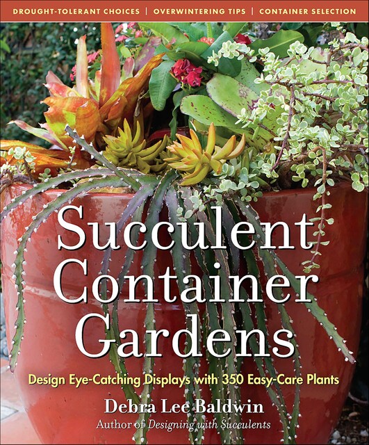 Succulent Container Gardens, Debra Lee Baldwin