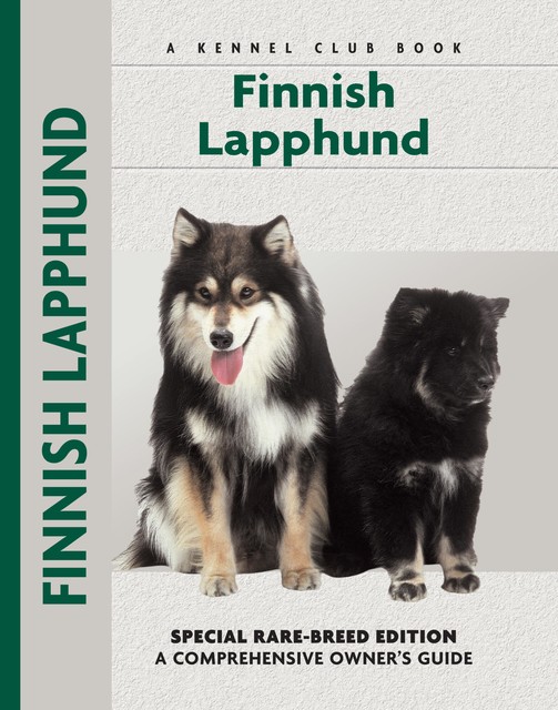 Finnish Lapphund, Toni Jackson