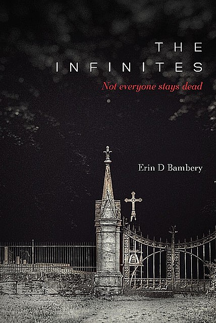 The Infinites, Erin D. Bambery