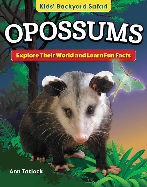 Kids' Backyard Safari: Opossums, Ann Tatlock