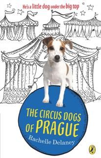 Circus Dogs of Prague, Rachelle Delaney