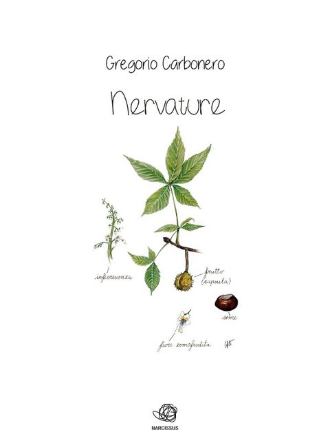 Nervature, Gregorio Carbonero
