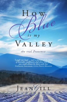 How Blue is My Valley, Jean Gill