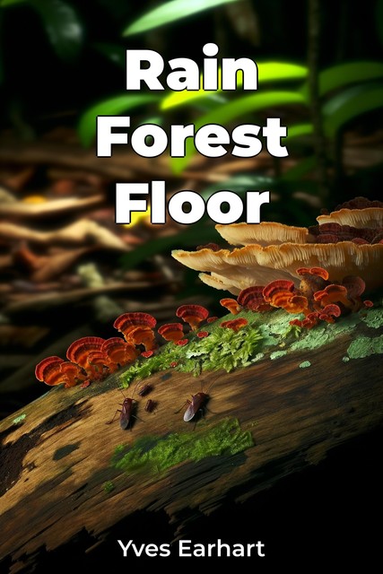 Rain Forest Floor, Yves Earhart