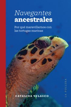 Navegantes ancestrales, Catalina Velasco