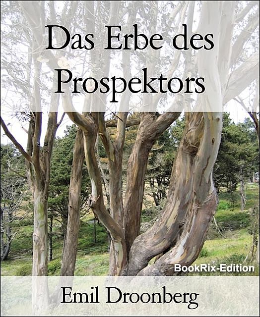 Das Erbe des Prospektors, Emil Droonberg