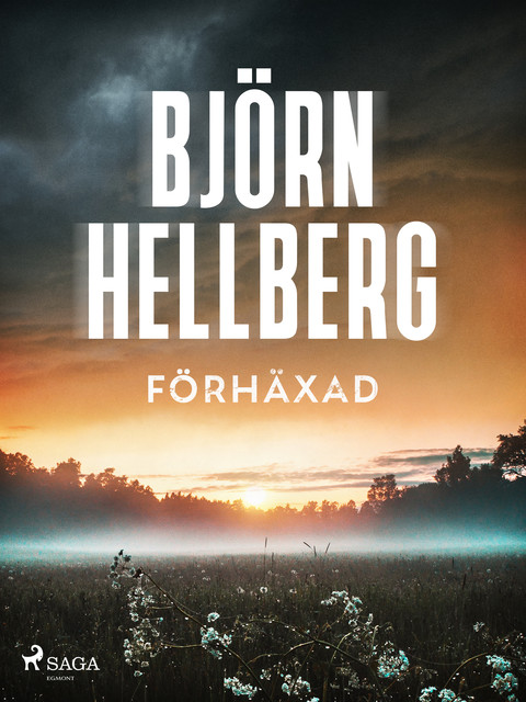 Förhäxad, Björn Hellberg