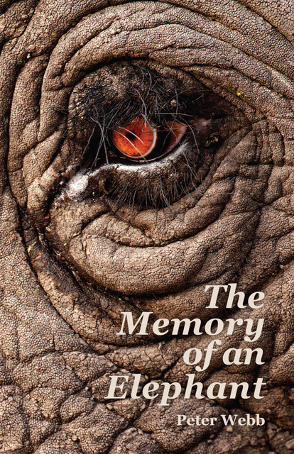 The Memory of an Elephant, Peter Webb