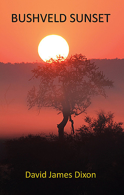 Bushveld Sunset, David Dixon