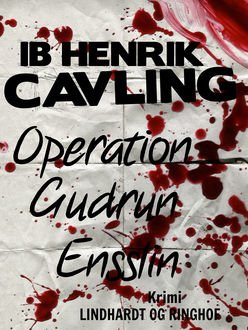 Operation Gudrun Ensslin, Ib Henrik Cavling