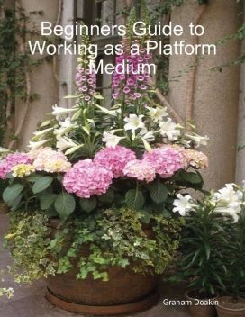Beginners Guide to Working as a Platform Medium, Graham Deakin