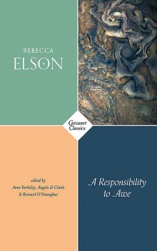 A Responsibility to Awe, Rebecca Elson