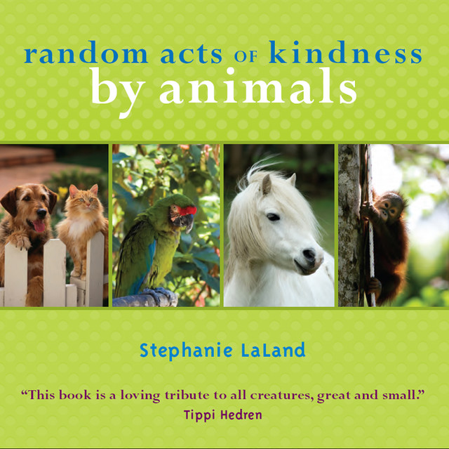 Random Acts of Kindness by Animals, Stephanie LaLand