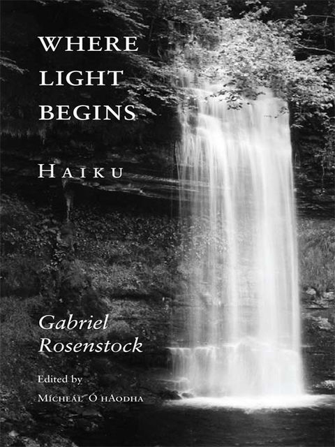 Where Light Begins, Gabriel Rosenstock
