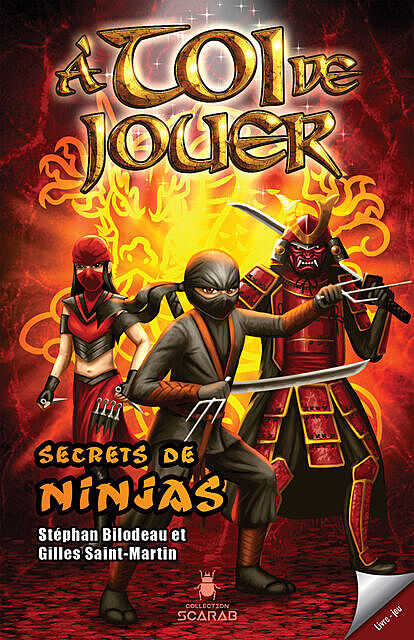 À toi de jouer – Secrets de ninjas, Gilles St-Martin, Stéphan Bilodeau