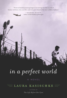 In a Perfect World, Laura Kasischke