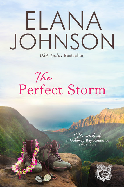 The Perfect Storm, Elana Johnson