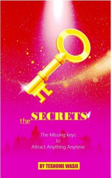 The Secrets, Teshome Wasie