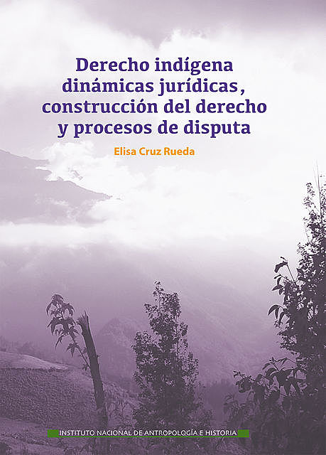 Derecho indígena, Elisa Cruz Rueda
