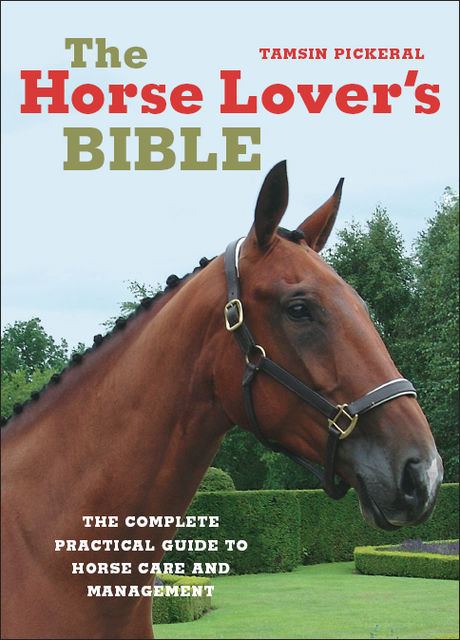 The Horse Lover's Bible, Tamsin Pickeral