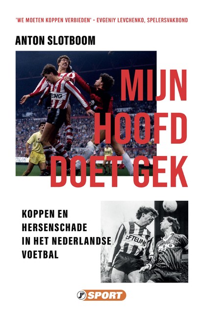 Mijn hoofd doet gek, Anton Slotboom