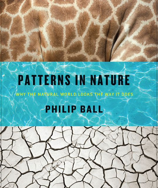 Patterns in Nature, Philip Ball