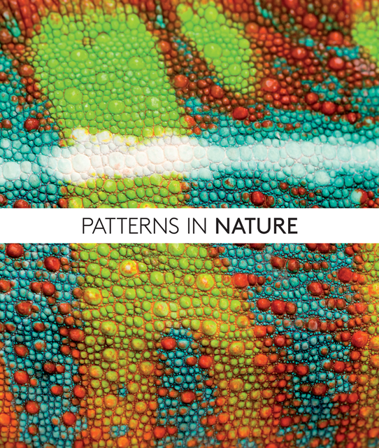 Patterns in Nature, Philip Ball