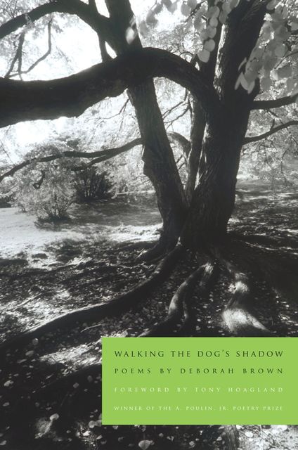 Walking the Dog's Shadow, Deborah Brown