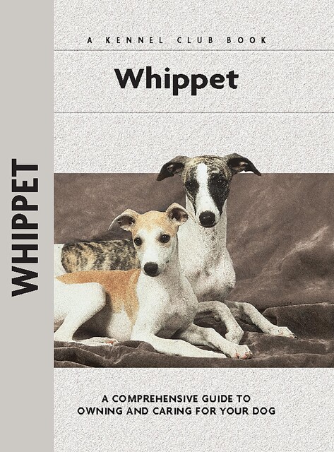 Whippet, Juliette Cunliffe