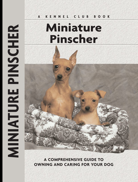 Miniature Pinscher, Charlotte Schwartz