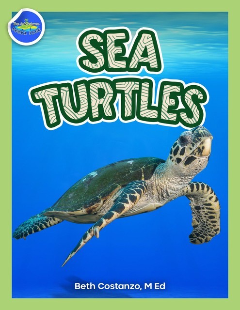 Sea Turtles Activity Workbook ages 4–8, Beth Costanzo