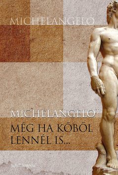 Még ha kőből lennél is, Michelangelo Buonarroti