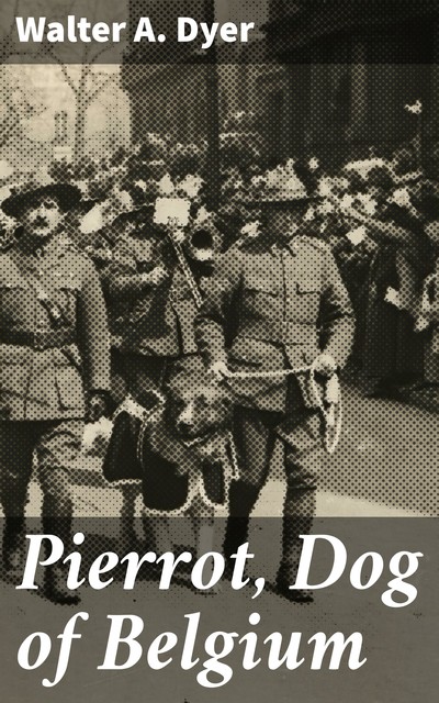 Pierrot, Dog of Belgium, Walter A. Dyer