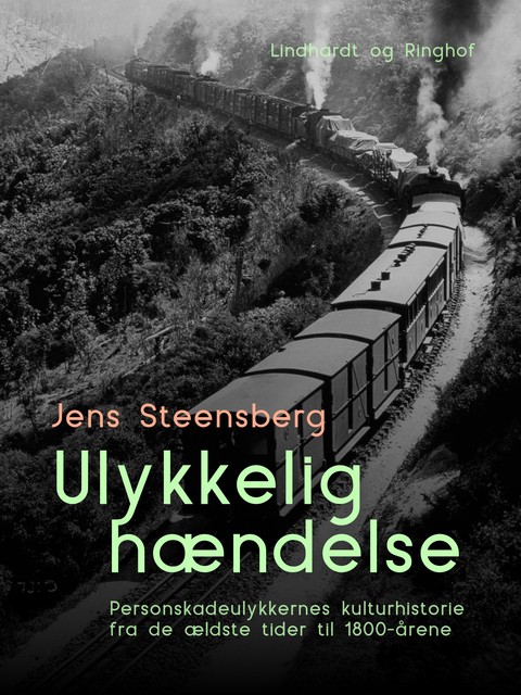 Ulykkelig hændelse, Jens Steensberg